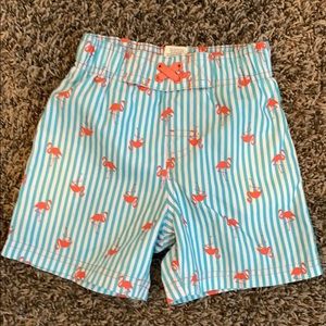 💗Flamingos Circo swim trunks